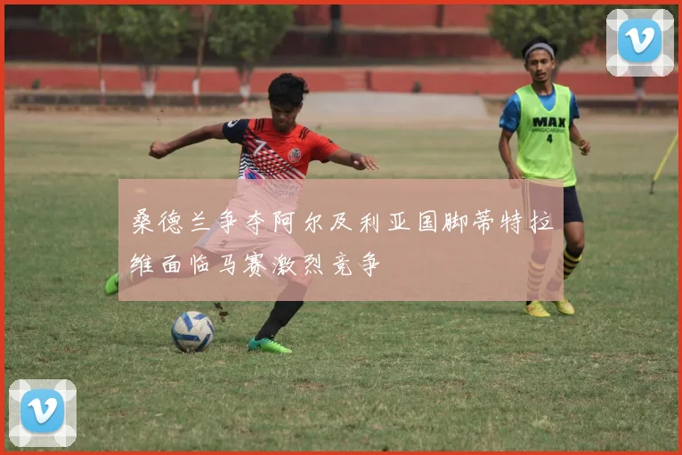 桑德兰争夺阿尔及利亚国脚蒂特拉维面临马赛激烈竞争