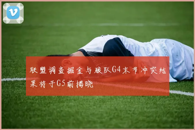 联盟调查掘金与狼队G4末节冲突结果将于G5前揭晓