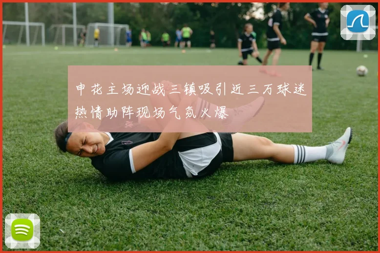 申花主场迎战三镇吸引近三万球迷热情助阵现场气氛火爆